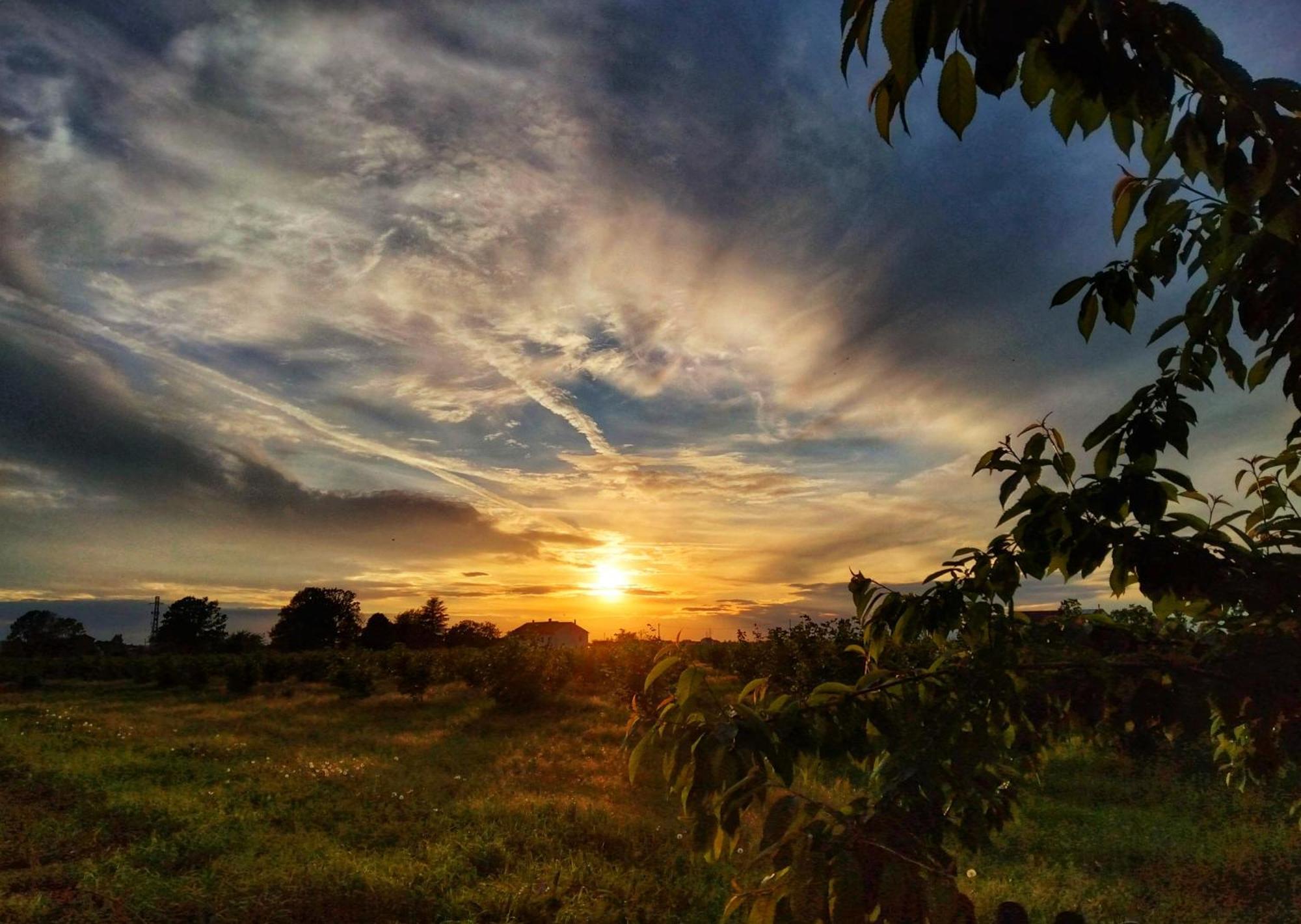 La Fattoria Del Soul Ξενοδοχείο Bosco Marengo Εξωτερικό φωτογραφία